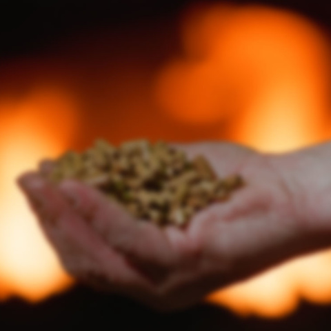 Hack­schnitzel­heizung bei BAYER WIENTEK GmbH in Freiensteinau