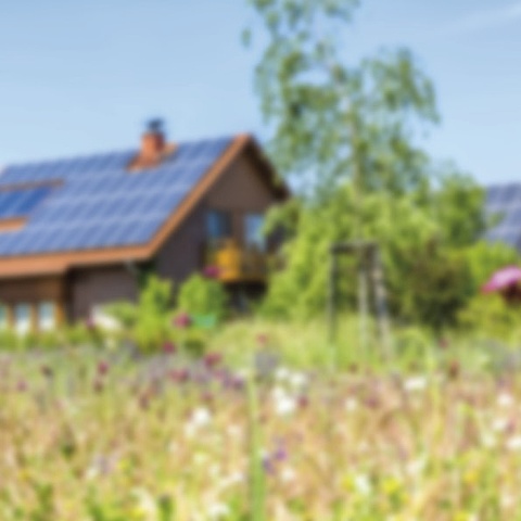 Photovoltaik bei BAYER WIENTEK GmbH in Freiensteinau