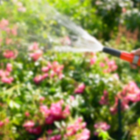 Regen­wasser­nutzung bei BAYER WIENTEK GmbH in Freiensteinau